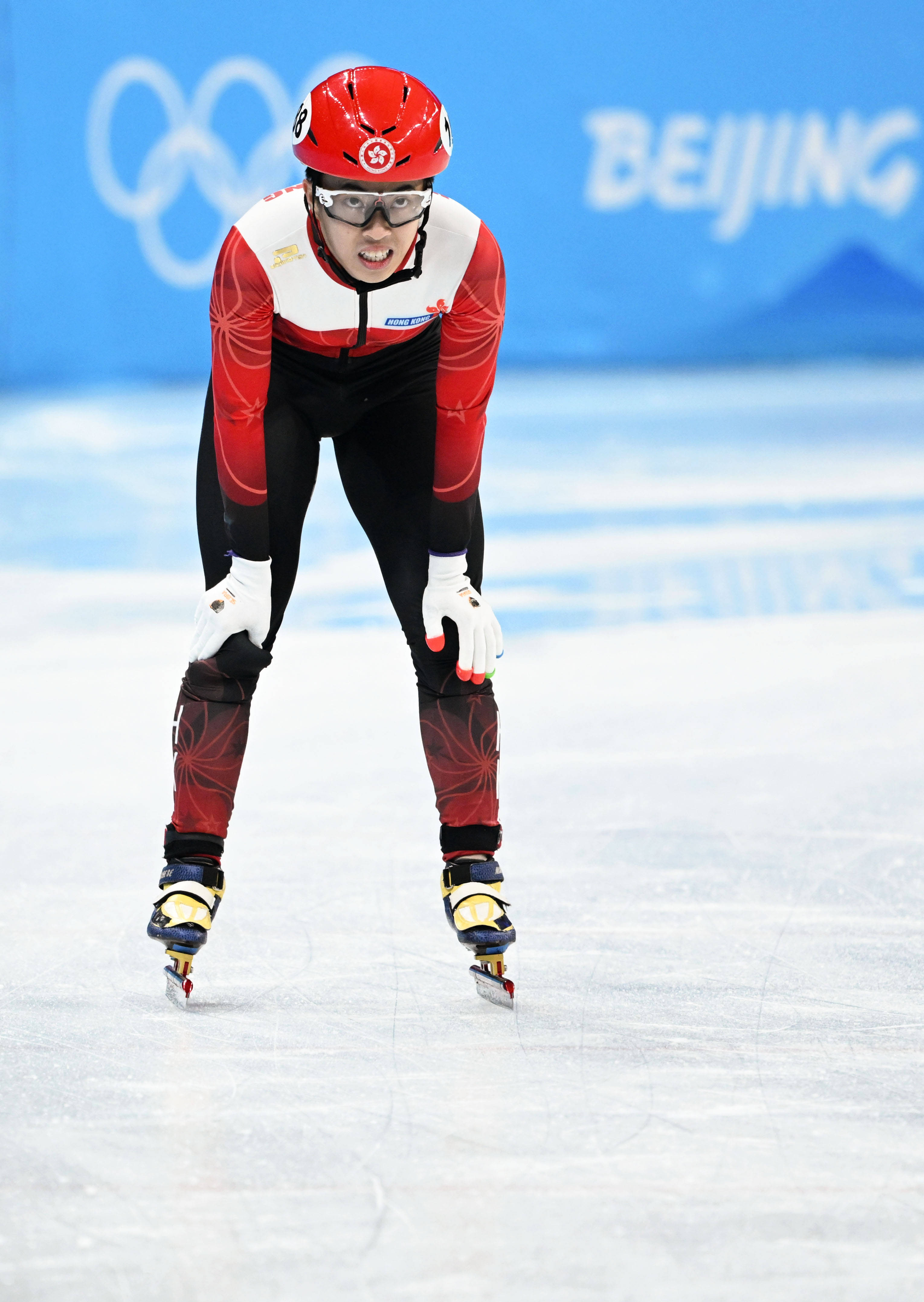  风火轮烈焰车队之巅峰比拼免费在观看 